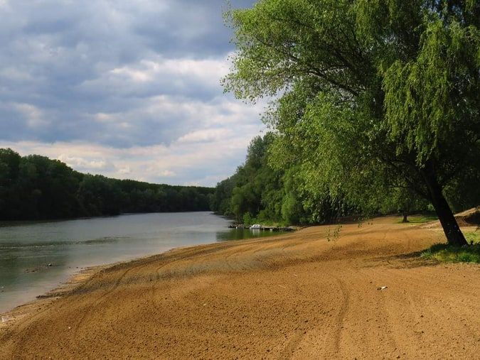 Tisza-part